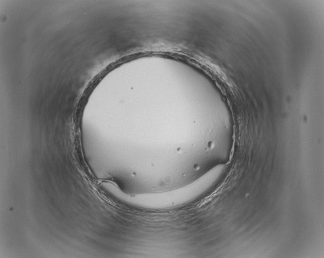 X0000067001264200604241355