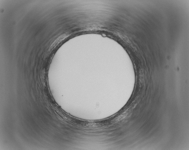 X0000067001265200604241355