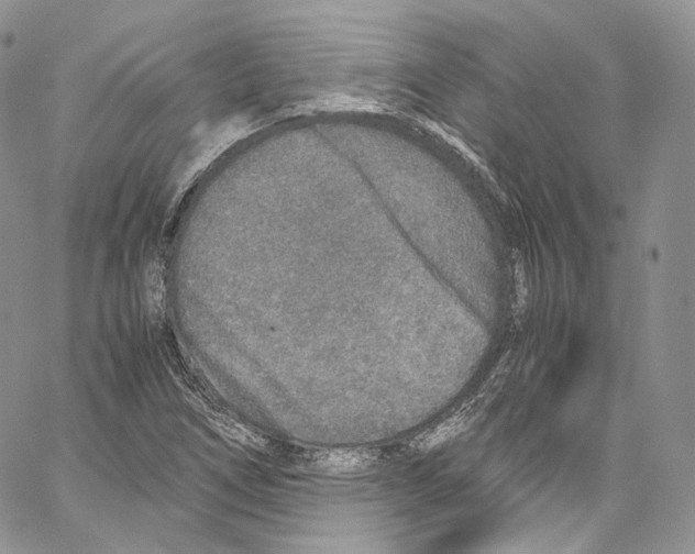 X0000067001266200604241355