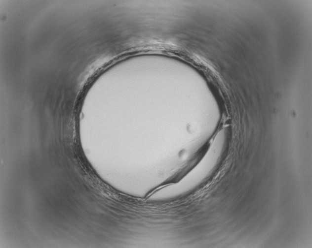 X0000067001267200604241355