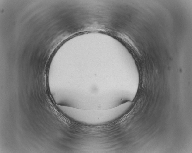 X0000067001268200604241355