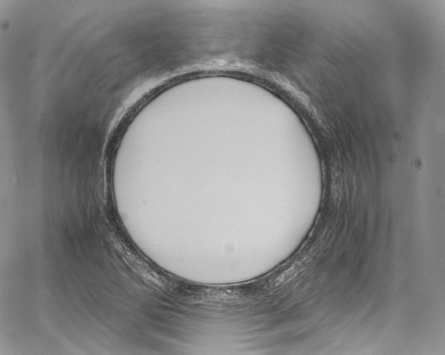 X0000067001270200604241355