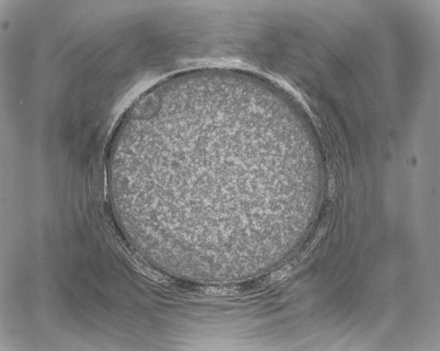 X0000067001271200604241355