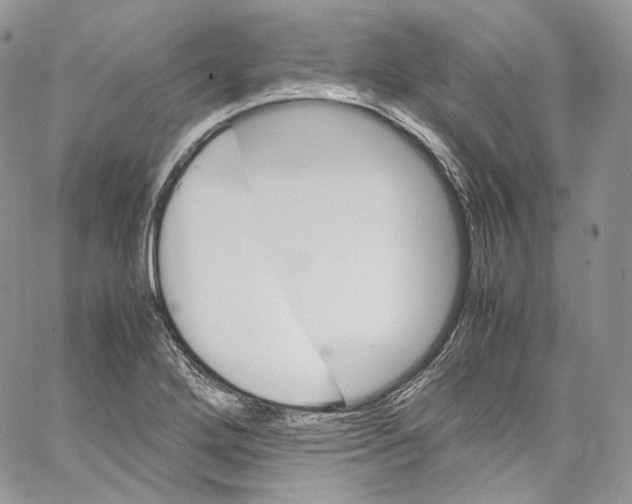 X0000067001272200604241355