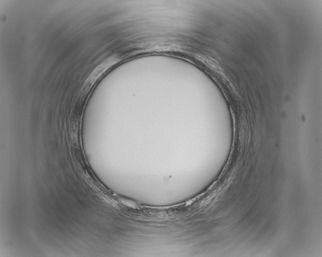 X0000067001273200604241355