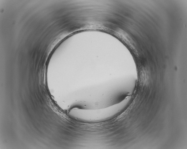 X0000067001276200604241355