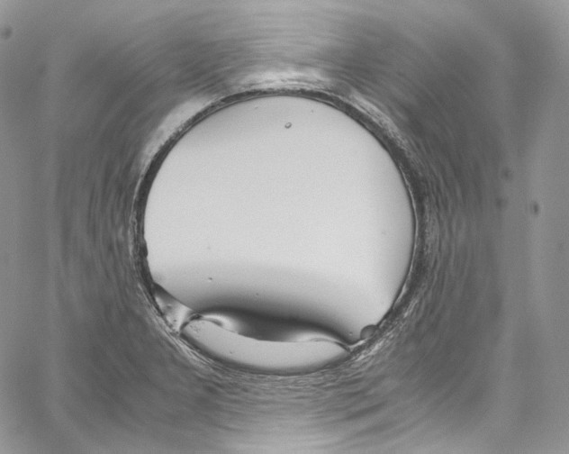 X0000067001277200604241355