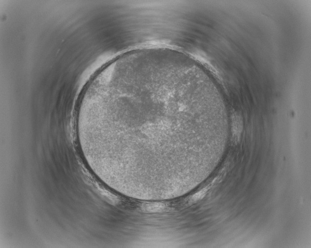 X0000067001278200604241355