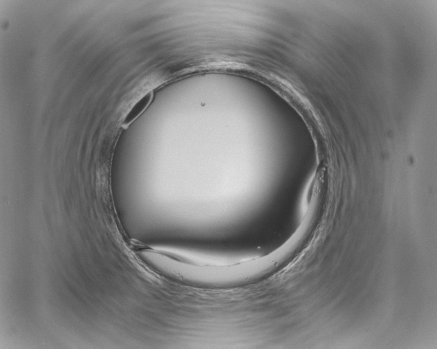 X0000067001281200604241355