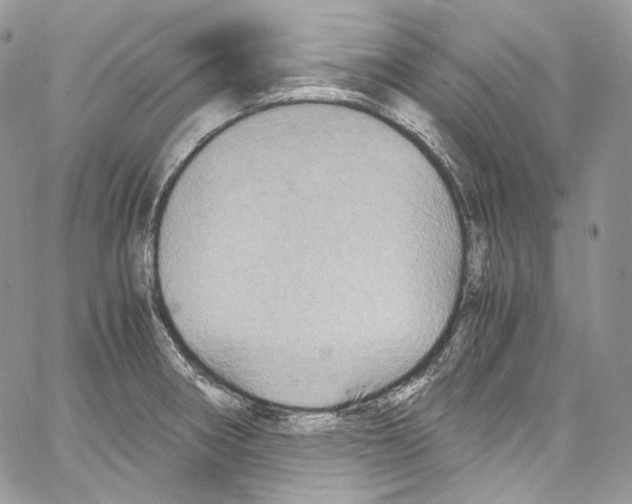 X0000067001282200604241355