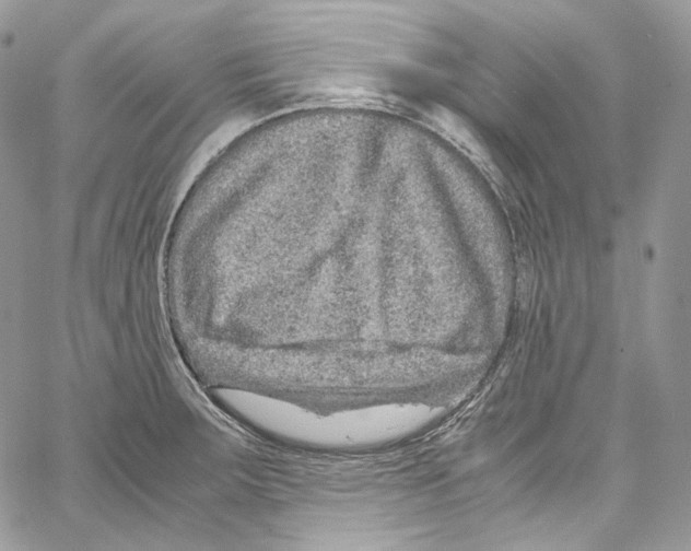 X0000067001283200604241355