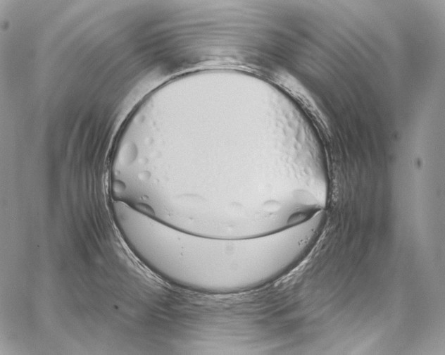 X0000067001284200604241355