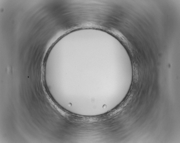 X0000067001286200604241355