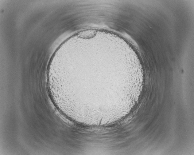 X0000067001287200604241355