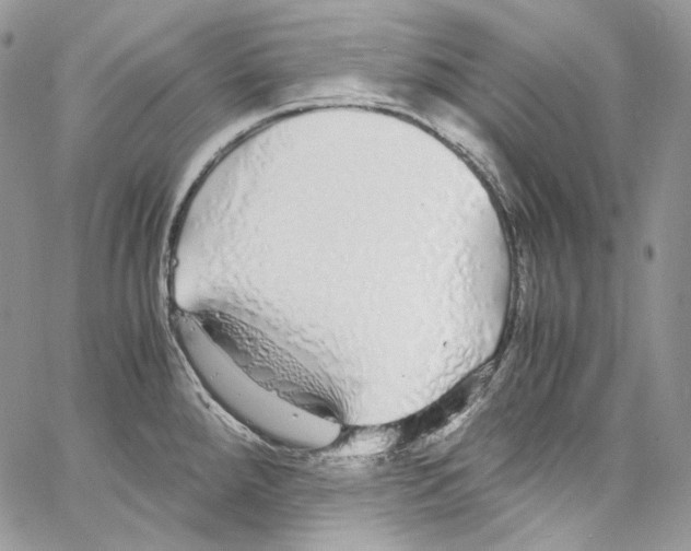 X0000067001288200604241355