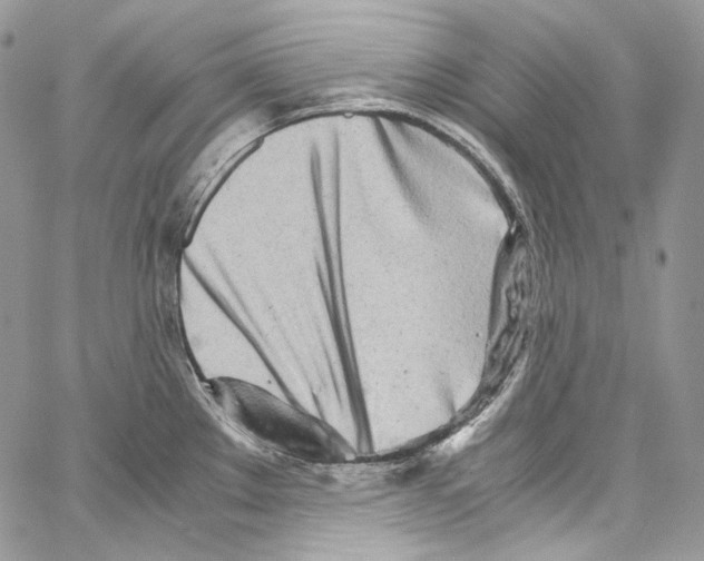 X0000067001289200604241355