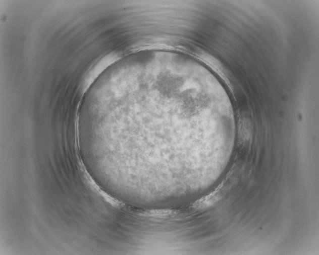 X0000067001290200604241355