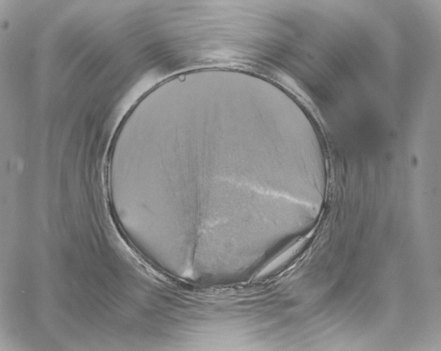 X0000067001291200604241355