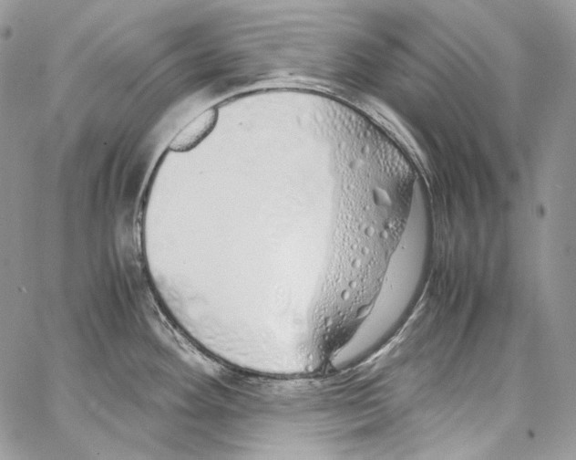 X0000067001292200604241355