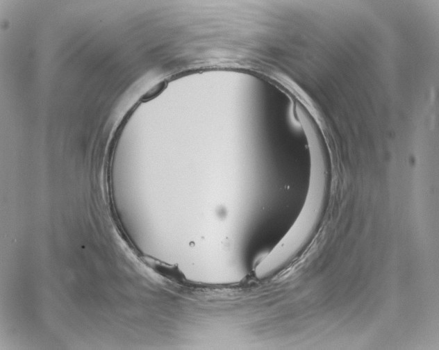 X0000067001293200604241355