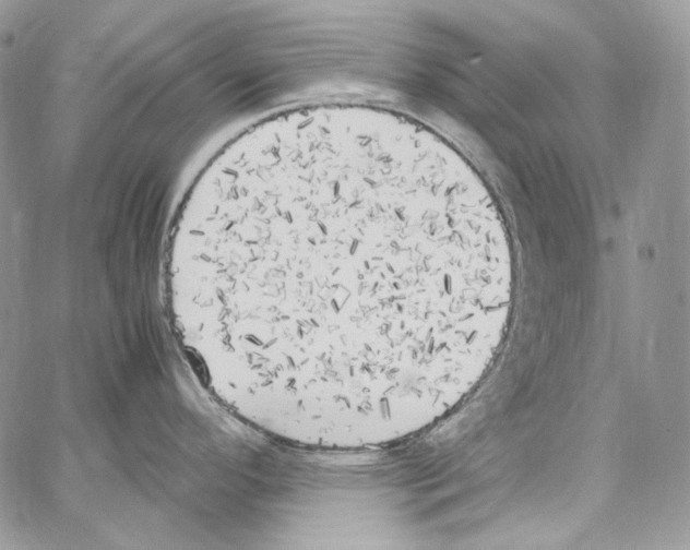 X0000067001296200604241355