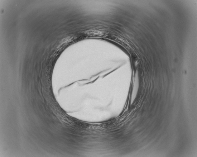 X0000067001297200604241354