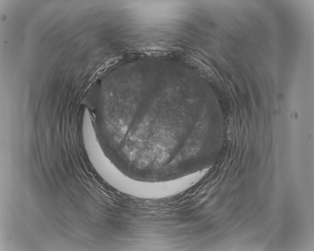 X0000067001298200604241354