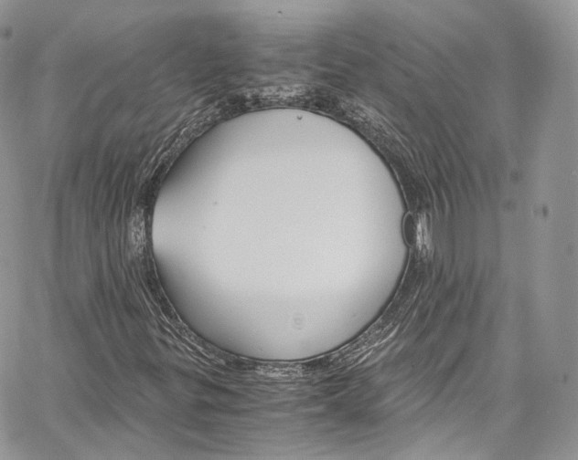 X0000067001299200604241354