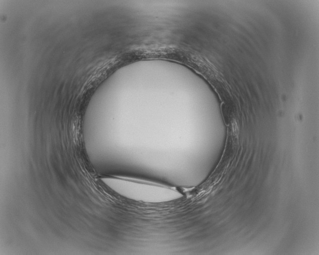 X0000067001300200604241354