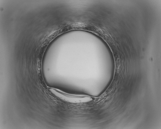 X0000067001301200604241354