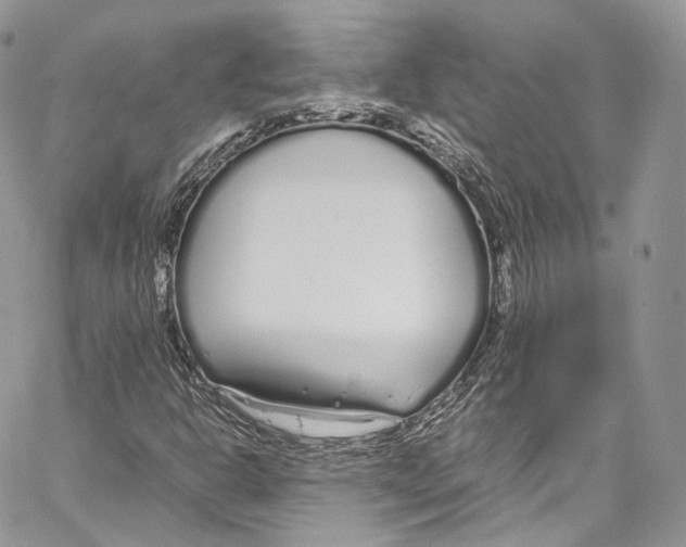 X0000067001302200604241354