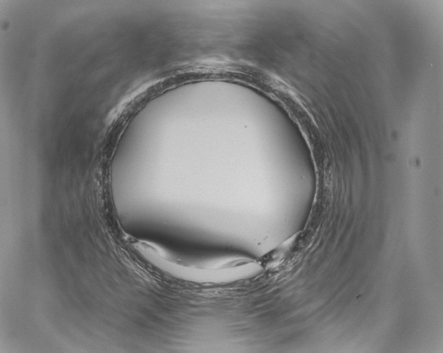 X0000067001304200604241354