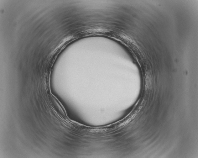 X0000067001305200604241354