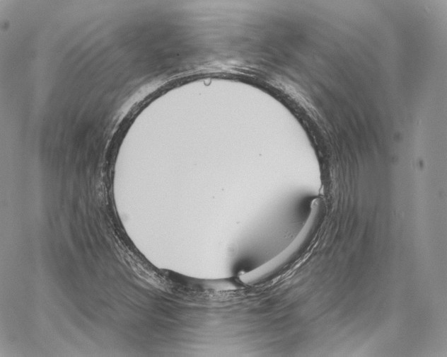 X0000067001308200604241354