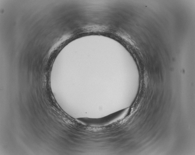 X0000067001309200604241354