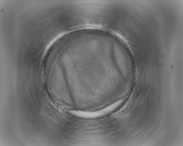 X0000067001310200604241354