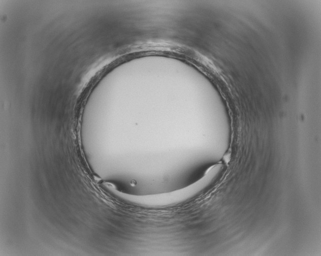 X0000067001312200604241354