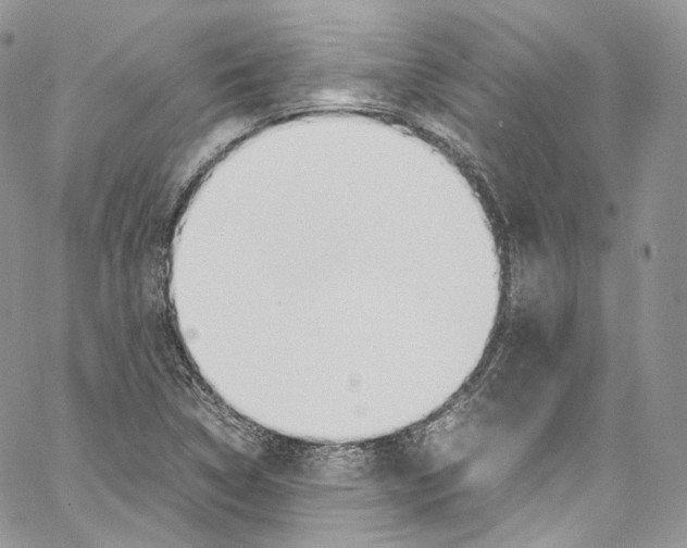 X0000067001314200604241354