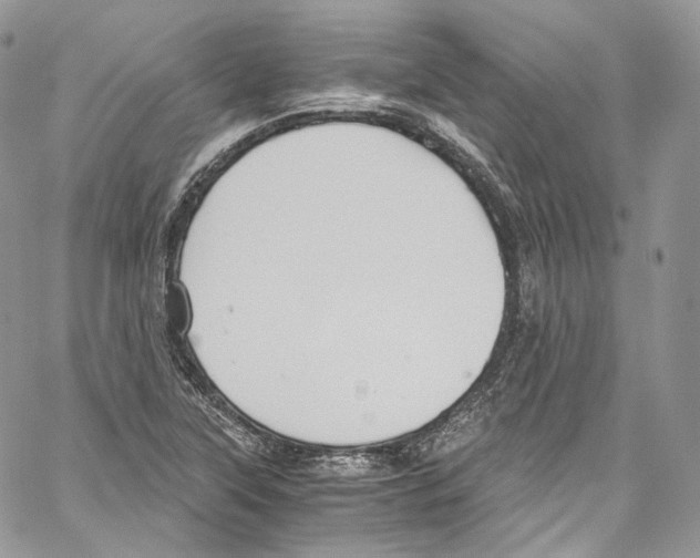 X0000067001315200604241354