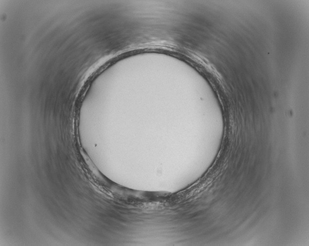 X0000067001316200604241354