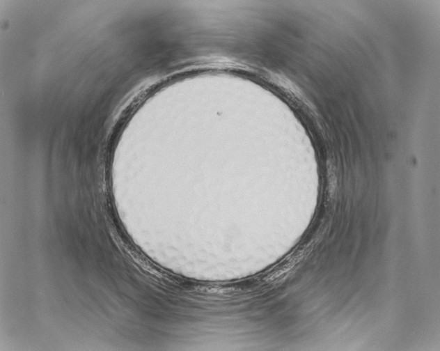 X0000067001318200604241354