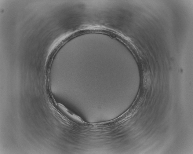 X0000067001319200604241354