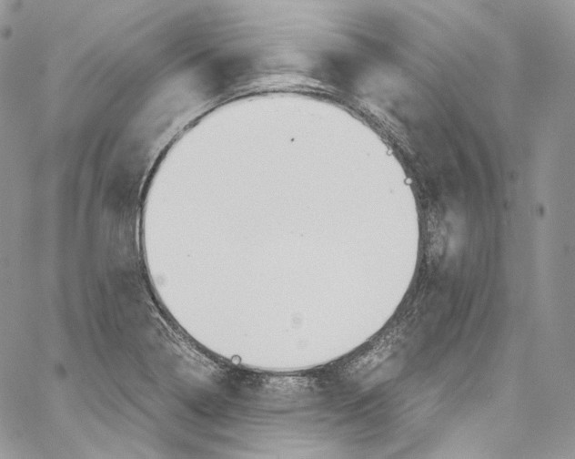 X0000067001322200604241354