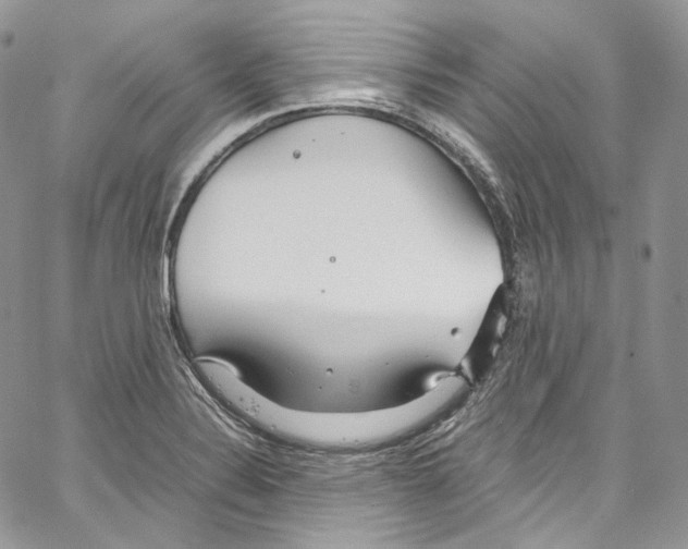 X0000067001324200604241354