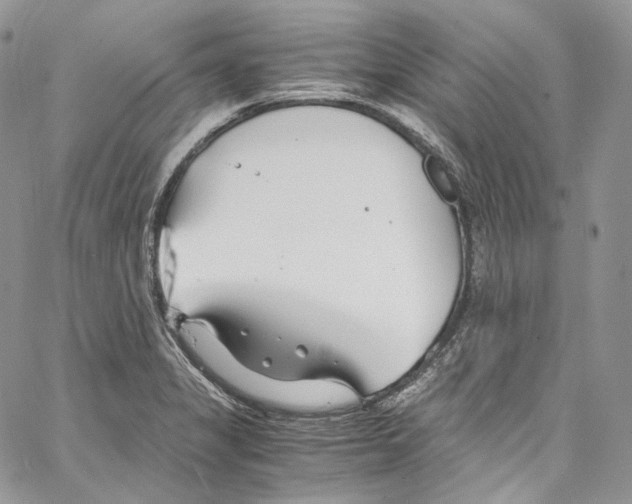 X0000067001325200604241354