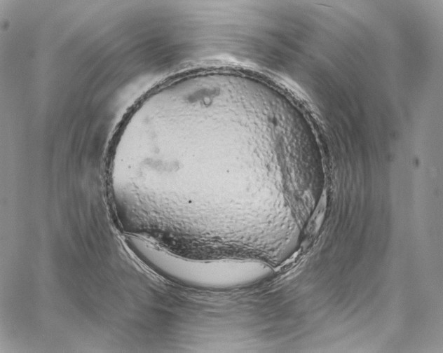 X0000067001326200604241354