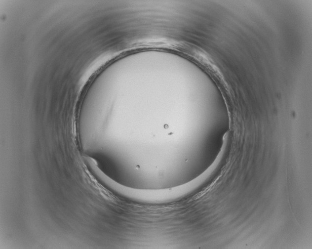 X0000067001328200604241354