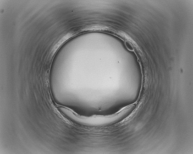 X0000067001329200604241354