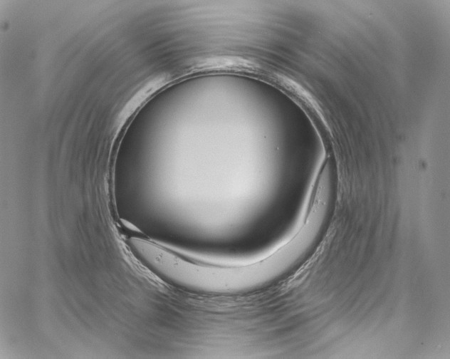 X0000067001330200604241354