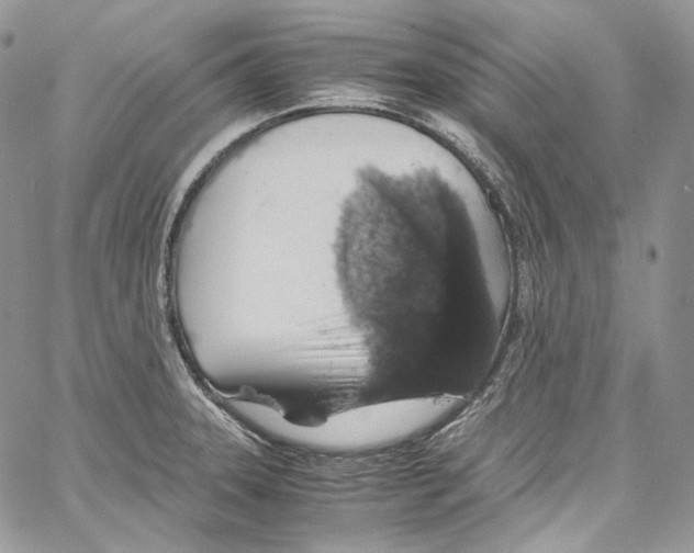 X0000067001331200604241354